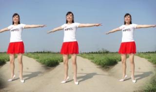 潇洒走一回广场舞